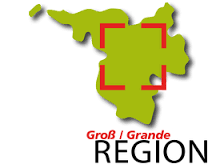 Rede anlässlich des Gipfels “20 Jahre Grossregion”